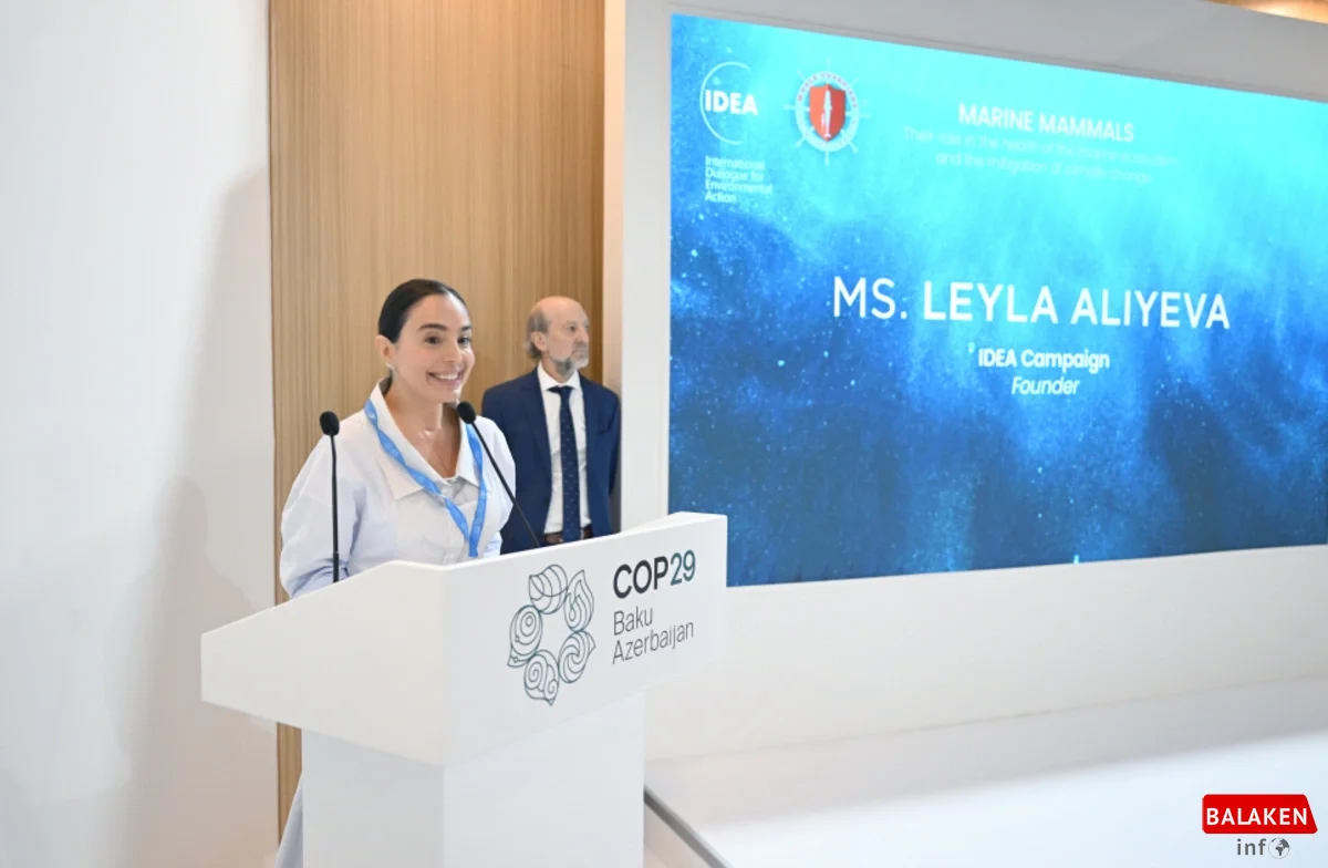 Leyla Əliyeva COP29 çərçivəsində dəniz canlılarına dair panel müzakirələrində iştirak edib