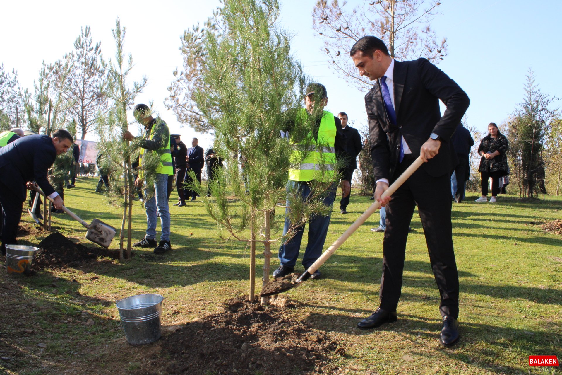 Balakəndə Zəfər Gününə həsr olunmuş ümumrayon ağacəkmə aksiyası keçirildi